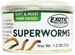 Exotic Nutrition Superworms Hedgehog Treats, 1.2-oz can