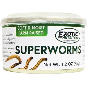 Exotic Nutrition Superworms Hedgehog Treats, 1.2-oz can
