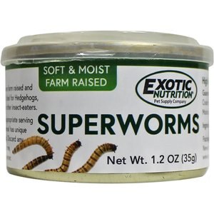 Exotic Nutrition Superworms Hedgehog Treats, 1.2-oz can