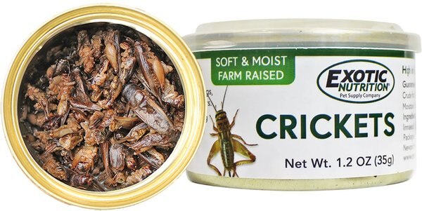 Exotic Nutrition Crickets Hedgehog Treats, 1.2-oz can