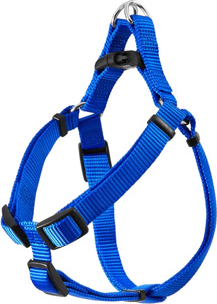 Frisco Nylon Step In Back Clip Dog Harness, Blue, Small: 16 to 24-in chest slide 1 of 6