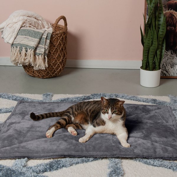 PET FIT FOR LIFE Cooling & Heating Pad