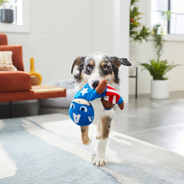 Marvel 's Captain America Round Plush Squeaky Dog Toy