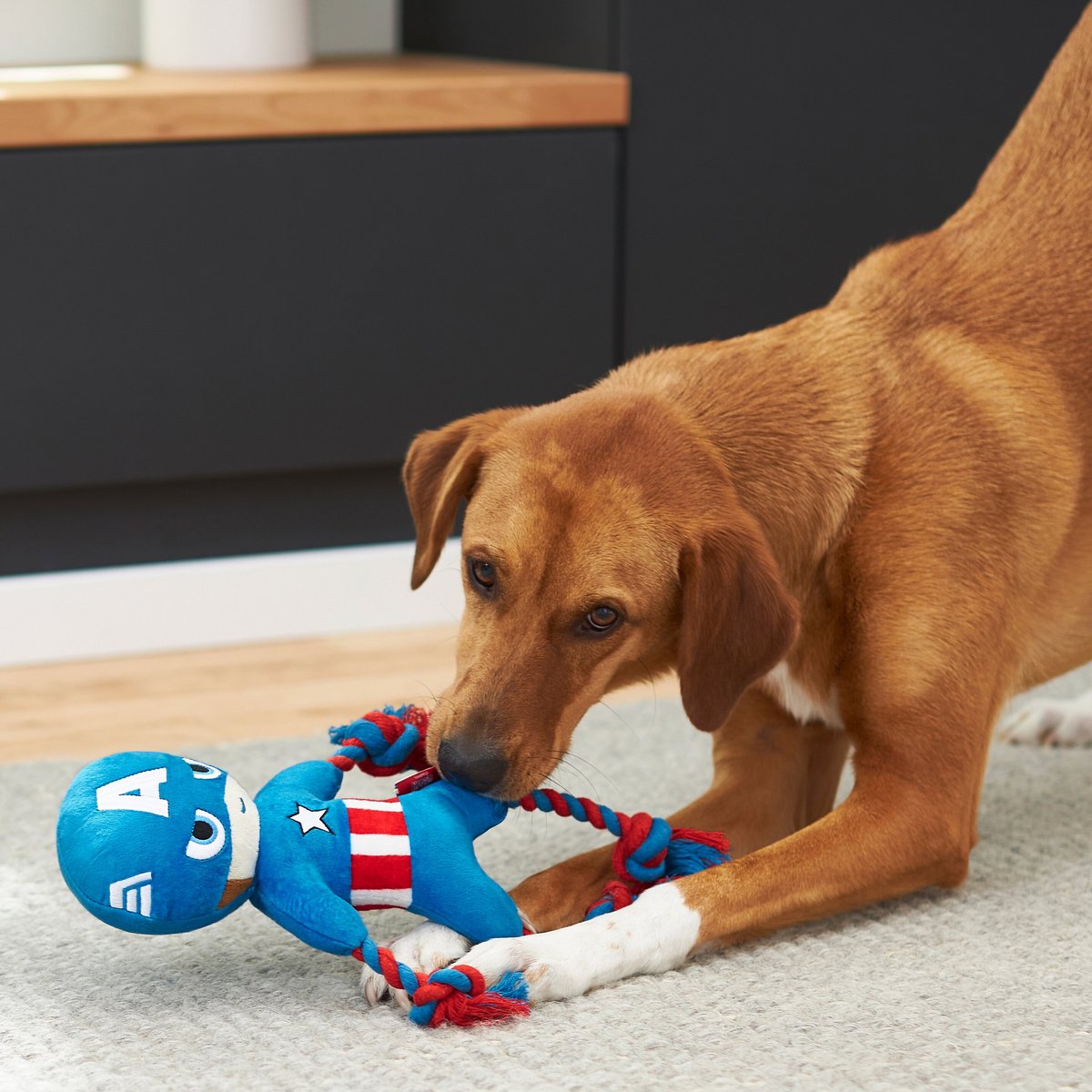 Captain america dog outlet toy