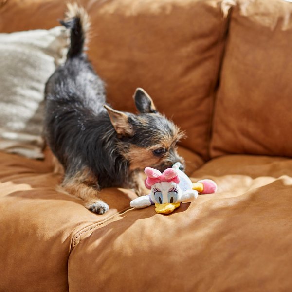 Disney Daisy Duck Textured Plush Squeaky Dog Toy