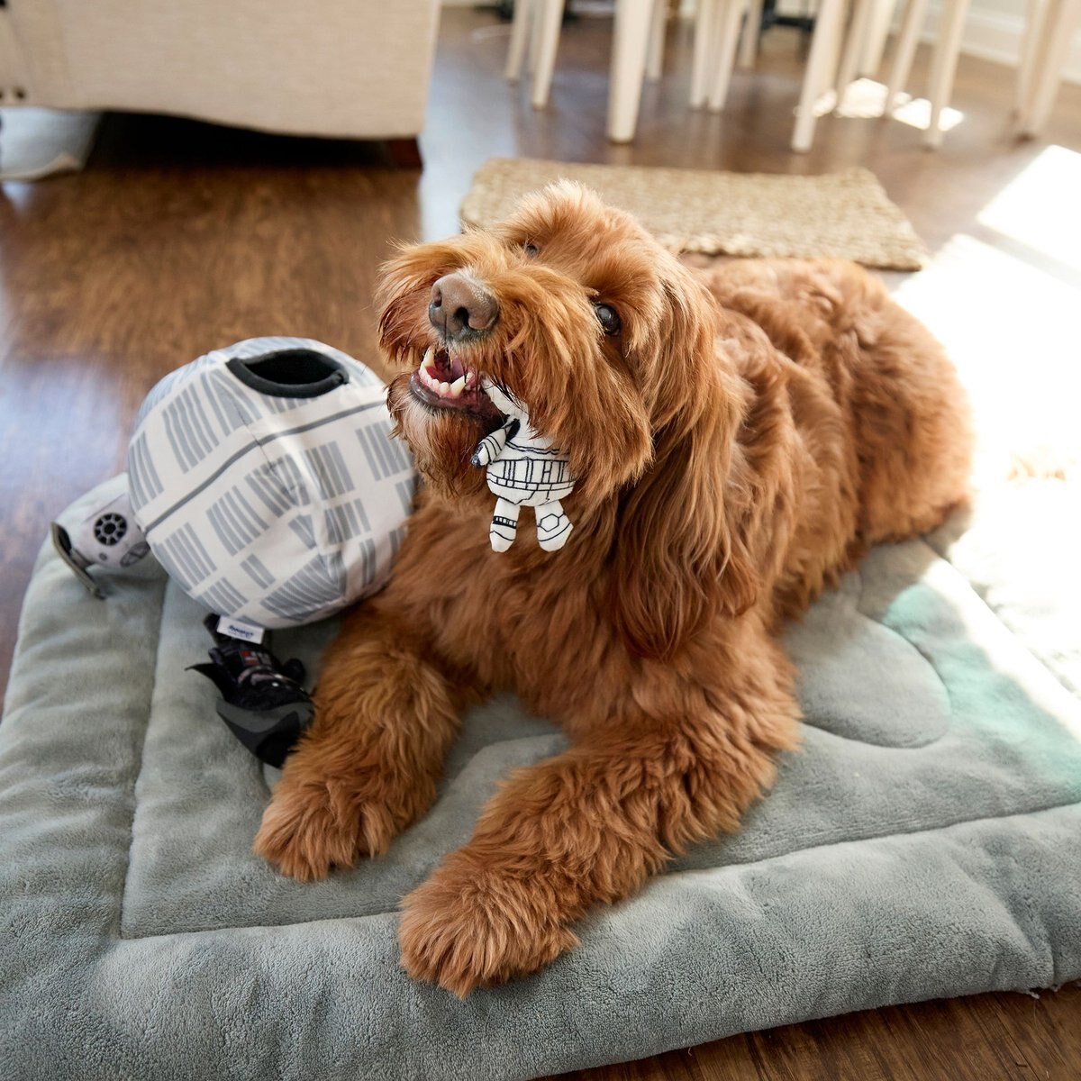 STAR WARS DEATH STAR Hide & Seek Puzzle Plush Squeaky Dog Toy