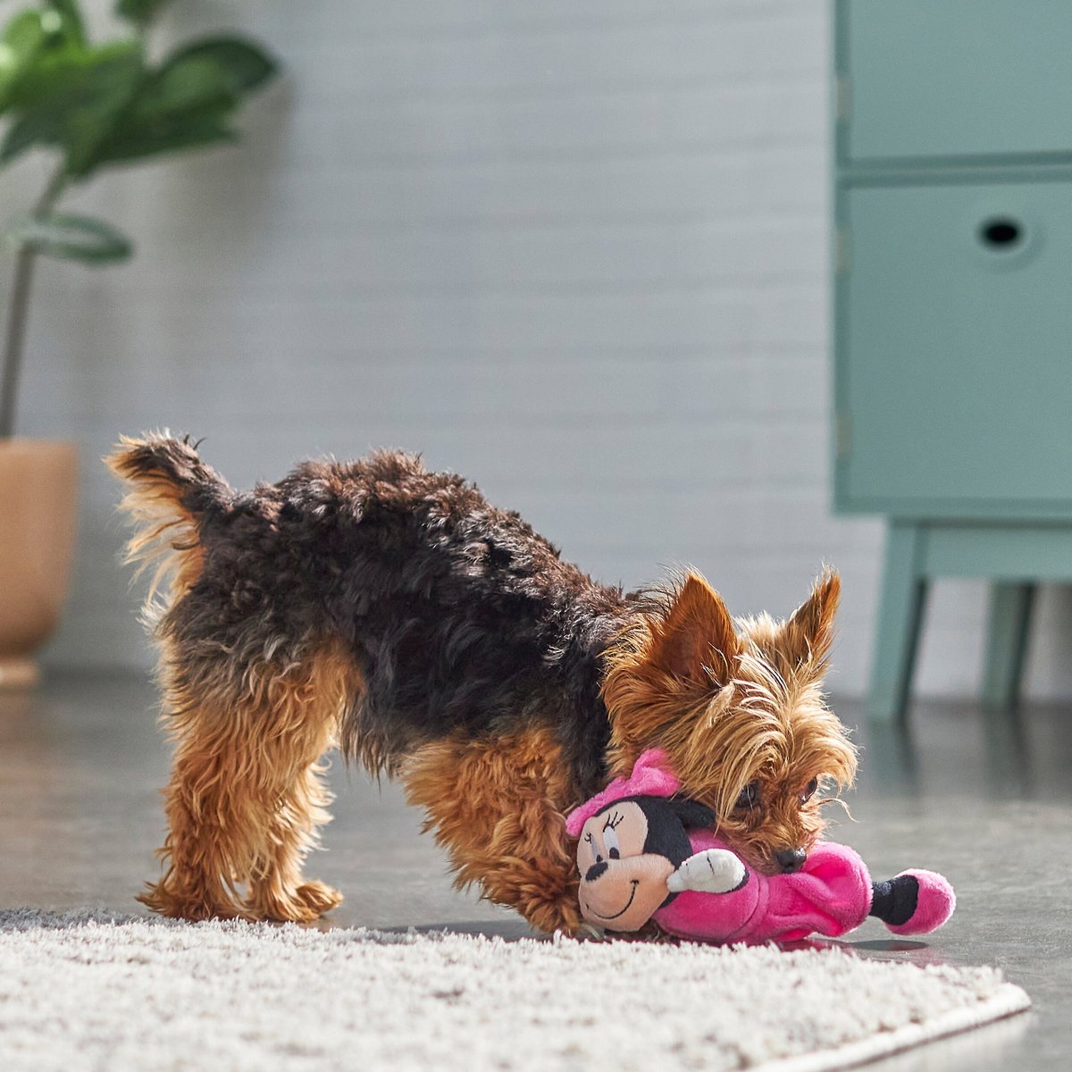 Minnie mouse shop dog toy