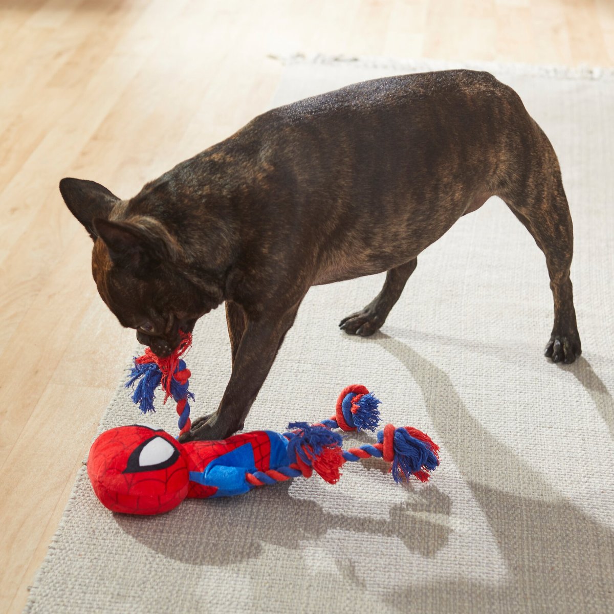 Spider Themed Rope & Plush Dog Toy - Medium Size, Halloween Fun For Pets