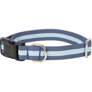 Harry Barker Eton Polyester Dog Collar, Blue, Small: 10 to 13-in neck, 3/4-in wide