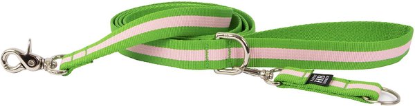 Harry Barker Eton Dog Leash, Green & Pink, 3/4-in, 6-ft slide 1 of 1