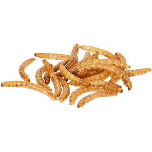 Mealworm To Go Dried Mealworm Wild Bird Food, 3.5-oz bag