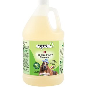 Espree Tea Tree & Aloe Medicated Dog Shampoo, 1-gallon