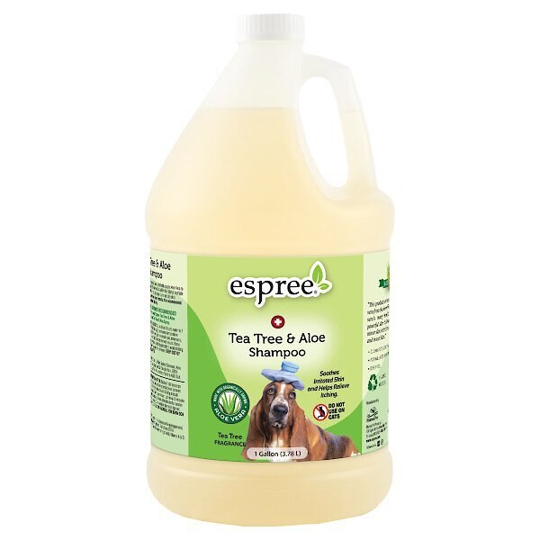 Espree Aloe Oatbath Medicated Dog Shampoo, 1-Gallon