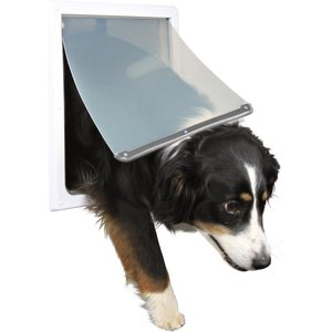 TRIXIE 2-Way Pet Door with Lockable Panel for Dogs, Medium/Large