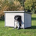 TRIXIE Natura Flat Roof Club Dog House, Large