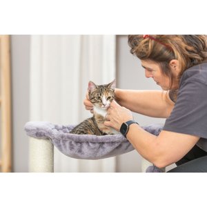 TRIXIE Baza 19.7-in Plush Cat Scratching Post with Hammock, Gray