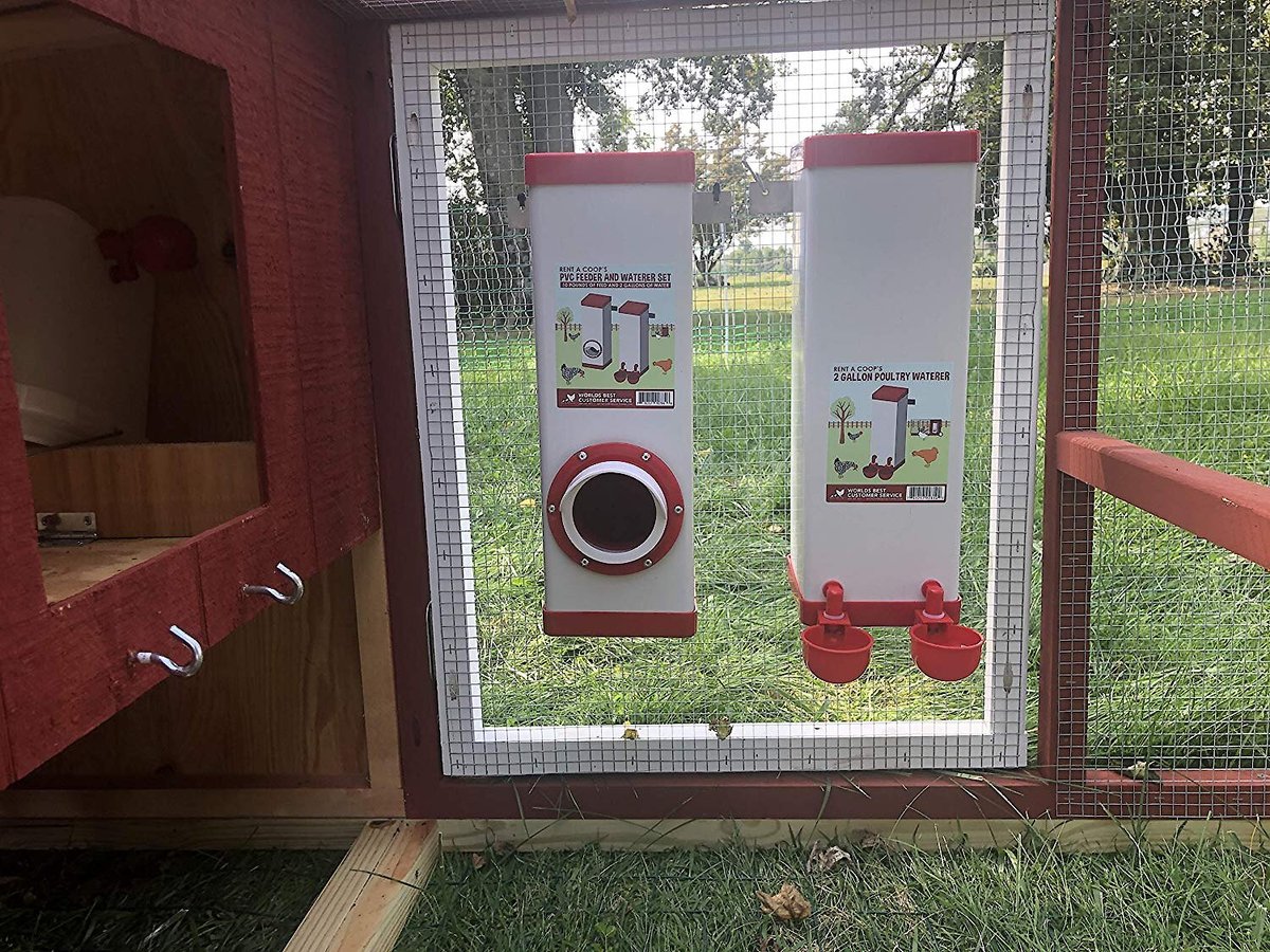 RentACoop Twin Cup Chicken Waterer And Feeder Set - 10lbs/2