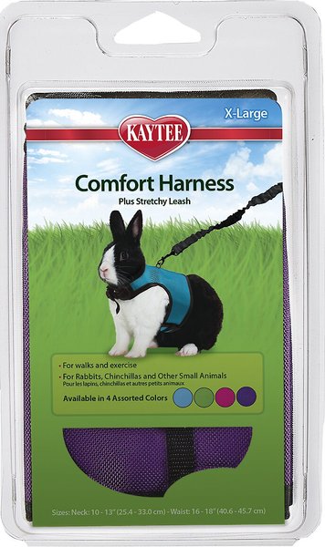 Kaytee Comfort Harness & Stretchy Leash, X-Large, Assorted Colors slide 1 of 4