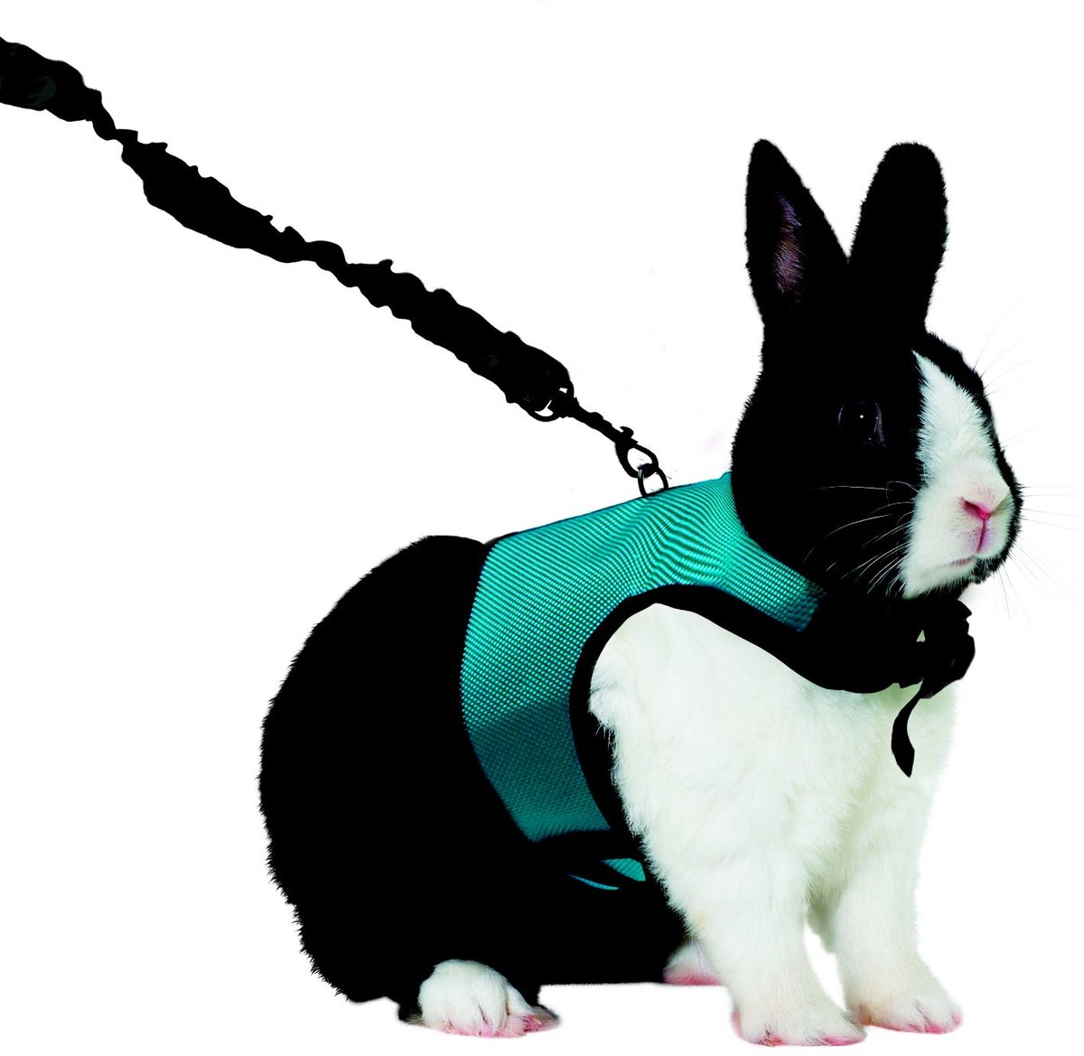 Large rabbit outlet harness