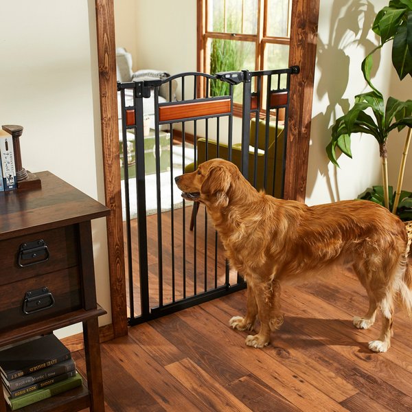 FRISCO Wood Accents Extra Tall Auto-close Dog Gate, 41-in, Black ...