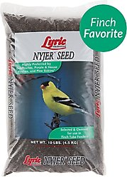 Lyric Nyjer Seed Wild Bird Food, 10-lb bag