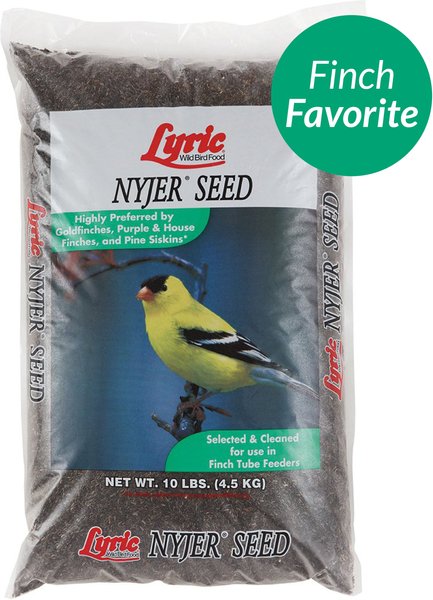 Lyric Nyjer Seed Wild Bird Food, 10-lb bag slide 1 of 6