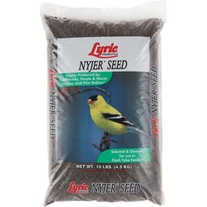 Lyric Nyjer Seed Wild Bird Food, 10-lb bag