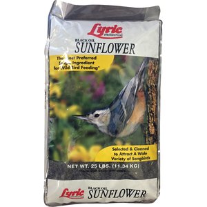 Lyric Black Oil Sunflower Wild Bird Food, 25-lb bag