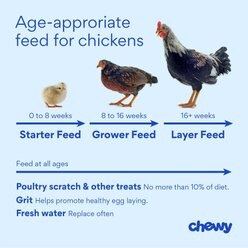 Farmers' Helper BabyCake Poultry Treats, 15-oz block slide 2 of 2