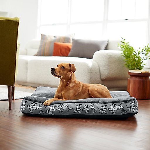 Disney Pluto Pillow Cat & Dog Bed, Gray, Large