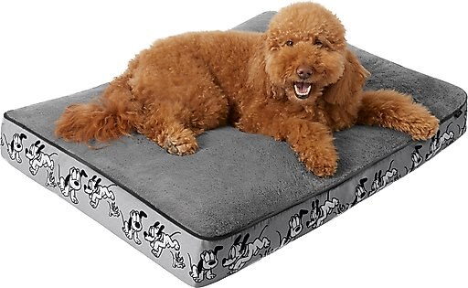 Disney Pluto Pillow Cat & Dog Bed, Gray, Large