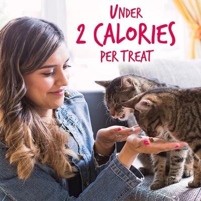 Show full view: Fruitables Salmon & Cranberry Flavor Crunchy Cat Treats, 2.5-oz bag slide 7 of 10