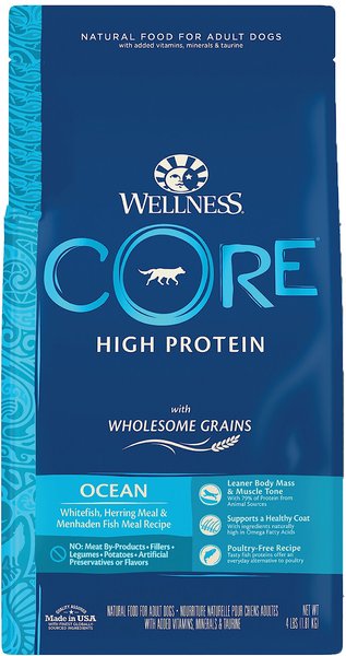 Wellness CORE Wholesome Grains Ocean Recipe High Protein Dry Dog Food, 4-lb bag slide 1 of 7