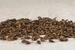 Happy Hen Treats Cricket Craze Dried Crickets Chicken Treats, 5-oz bag slide 2 of 5
