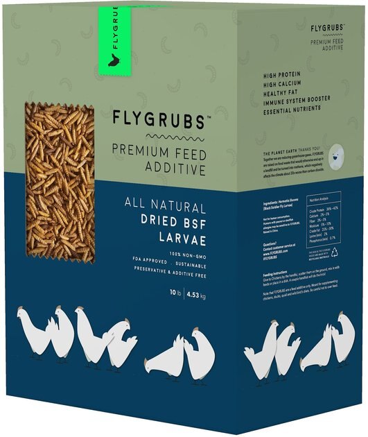 FLYGRUBS Black Soldier Fly Larvae Chicken Feed, 10-lb box - Chewy.com