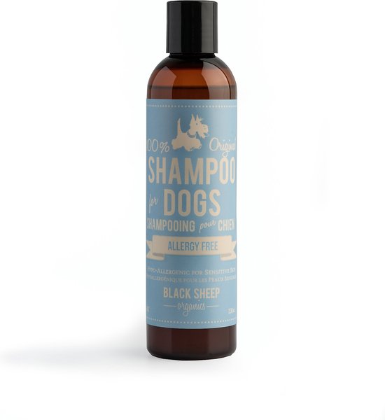 BLACK SHEEP ORGANICS Allergy Free Dog Shampoo, 8fl oz bottle