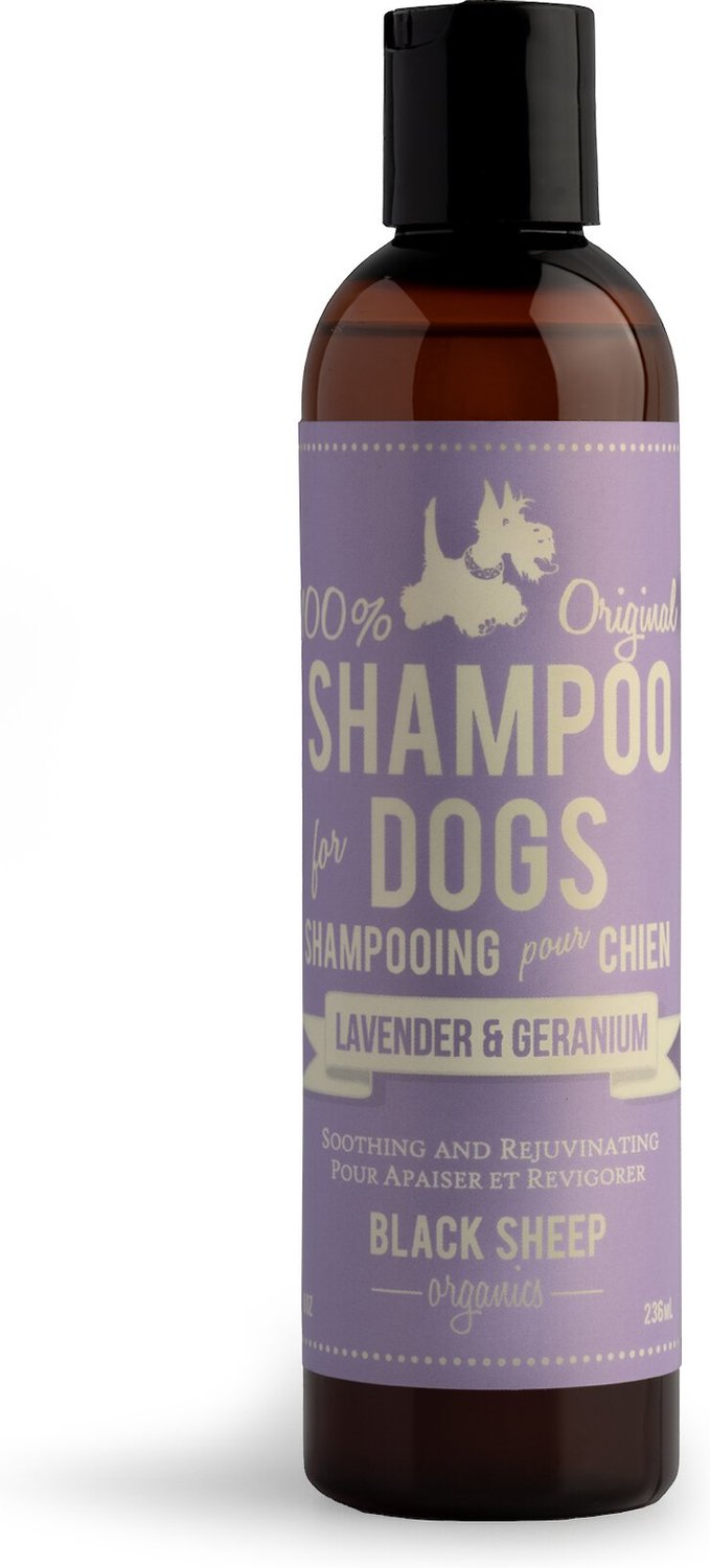 Black Sheep Organics Lavender & Geranium Scent Dog Shampoo