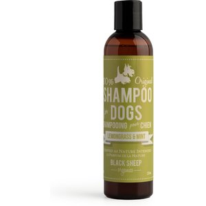 BLACK SHEEP ORGANICS Lemongrass & Mint Scent Dog Shampoo, 8-oz bottle ...