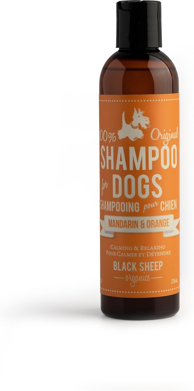 BLACK SHEEP ORGANICS Mandarin & Orange Scent Dog Shampoo, 8oz bottle