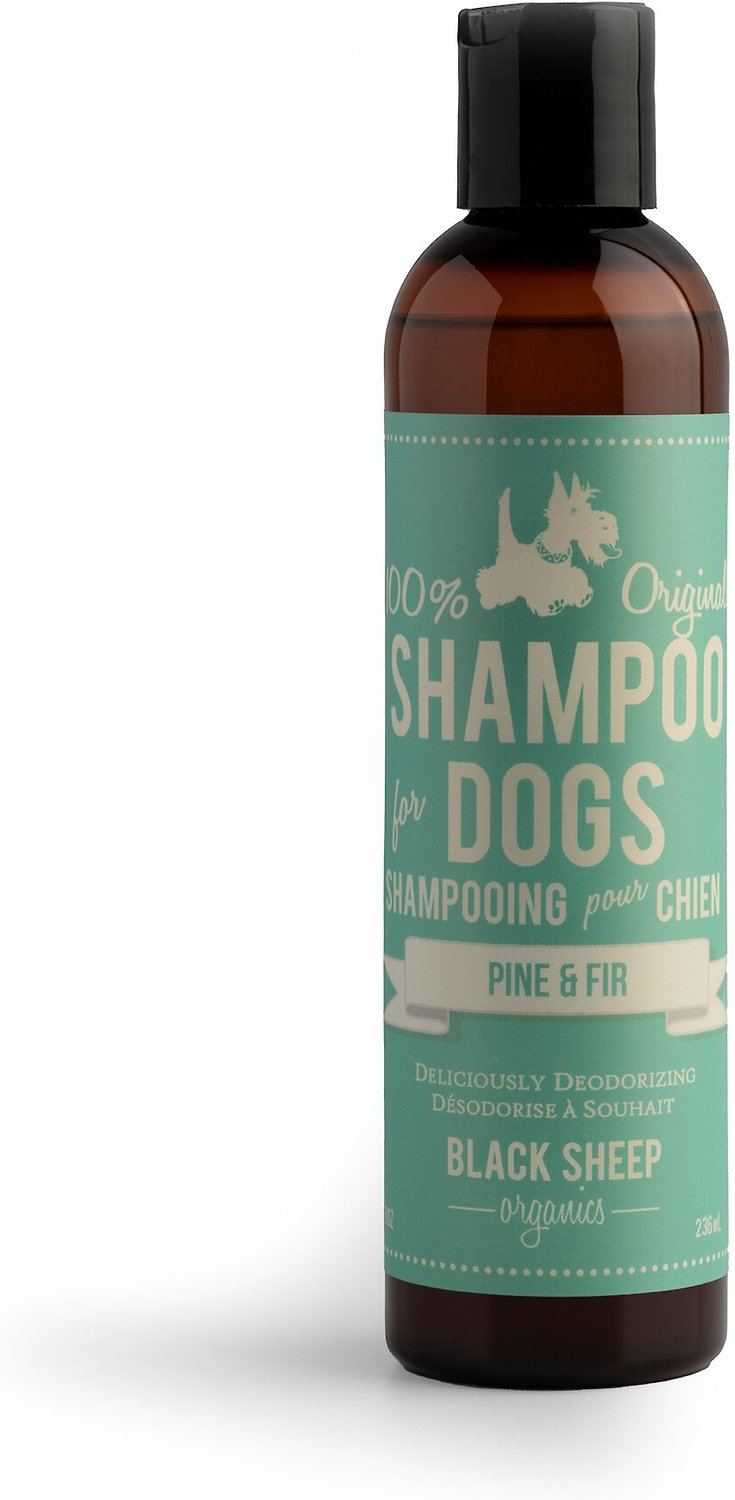 Black Sheep Organics Pine & Fir Scent Dog Shampoo