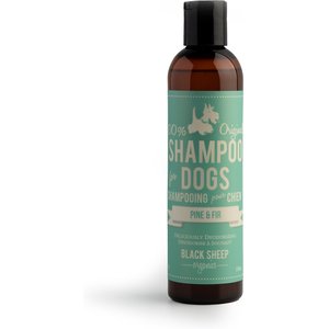 Black Sheep Organics Pine & Fir Scent Dog Shampoo, 8-oz bottle