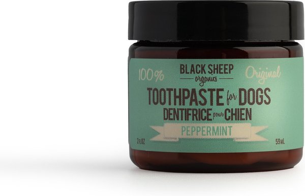 Black Sheep Organics Peppermint Flavor Dog Toothpaste, 2-oz jar slide 1 of 2