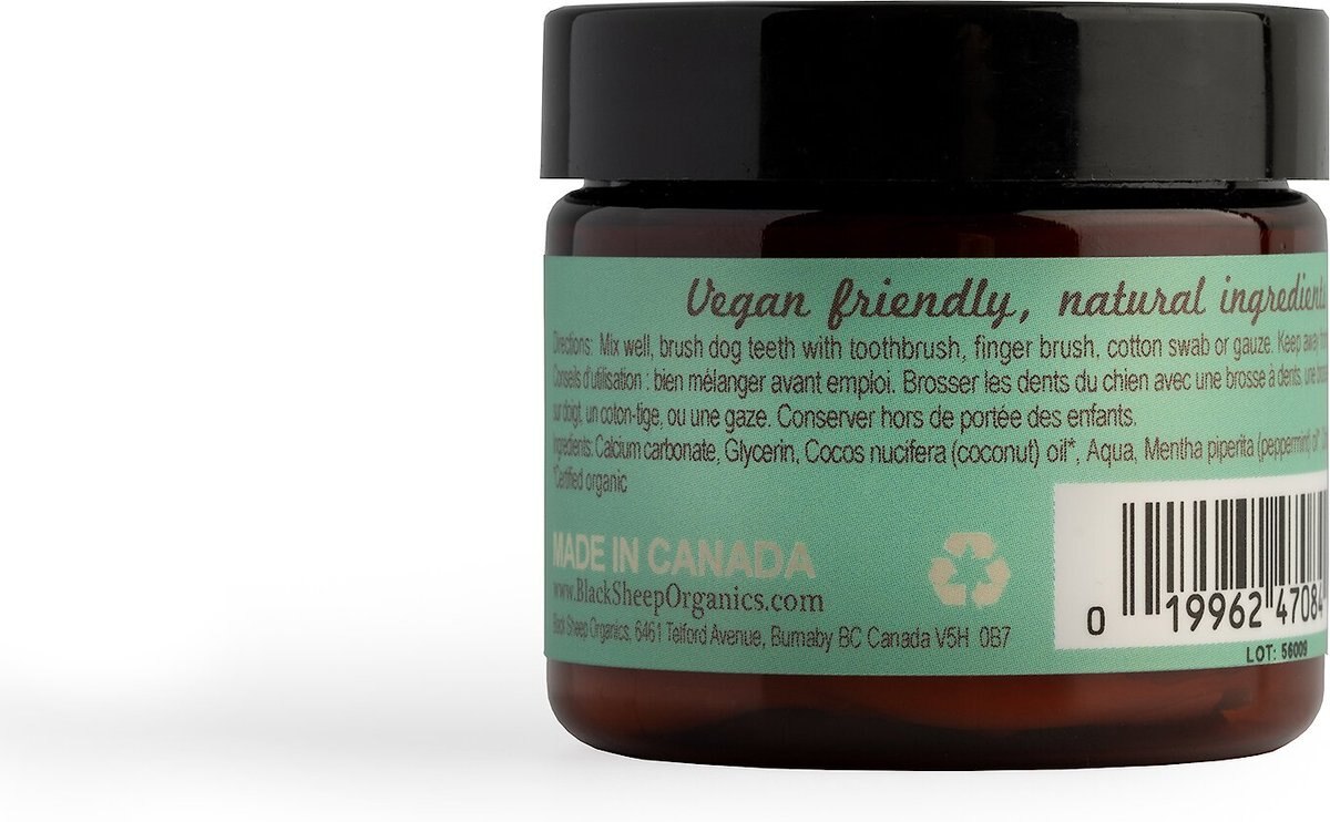 BLACK SHEEP ORGANICS Peppermint Flavor Dog Toothpaste, 2oz jar