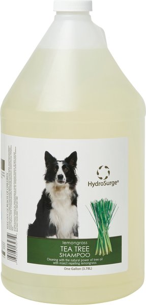 Hydrosurge dog hot sale shampoo