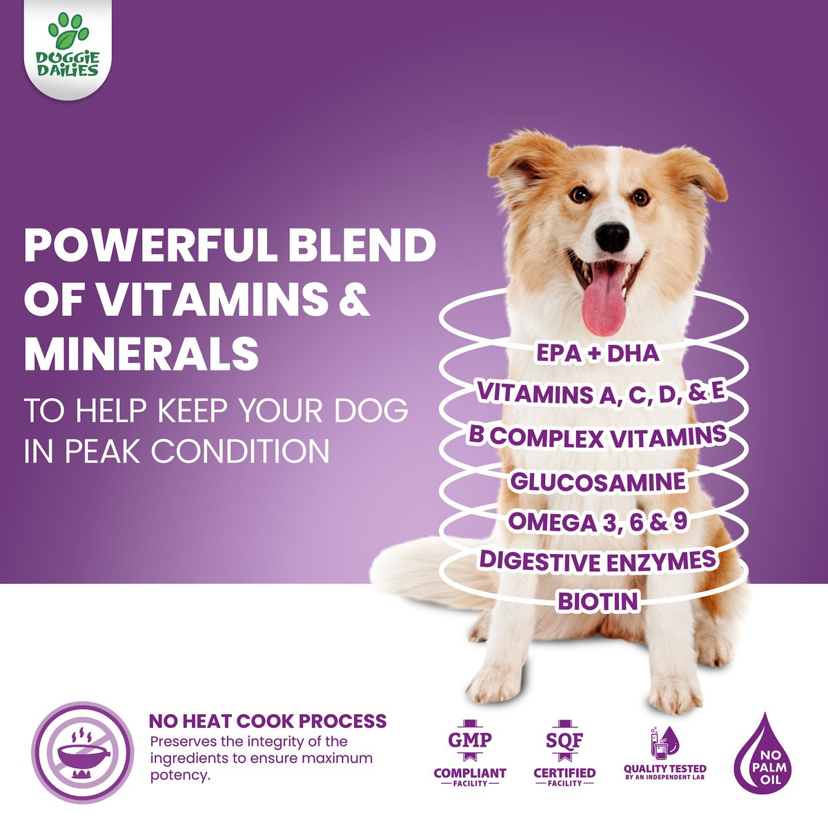 DOGGIE DAILIES 5in1 Multivitamin Soft Chew Dog Supplement, 225 count