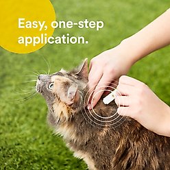 Onguard Plus Flea & Tick Spot Treatment for Cats, over 1.5 lbs, 6 Doses (6-mos. supply) slide 2 of 6