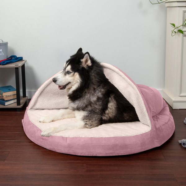 PENNPLAX Buddy Bunk Cat & Dog Bed & Step Set