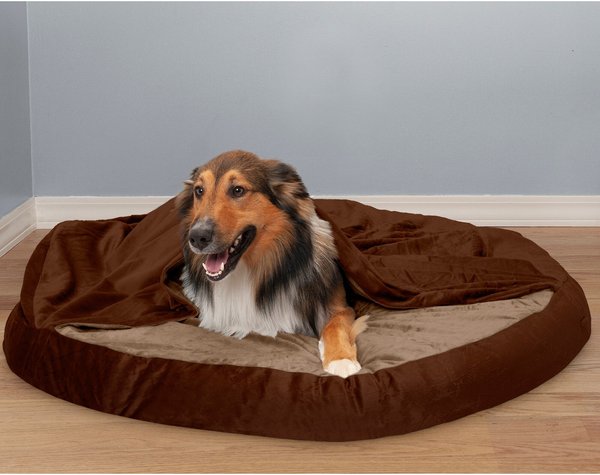 FurHaven Microvelvet Snuggery Memory Top Foam Dog & Cat Bed, Espresso, 44-in slide 1 of 9