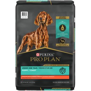 Purina Pro Plan Puppy Sensitive Skin & Stomach Salmon & Rice Dry Dog Food, 16-lb bag