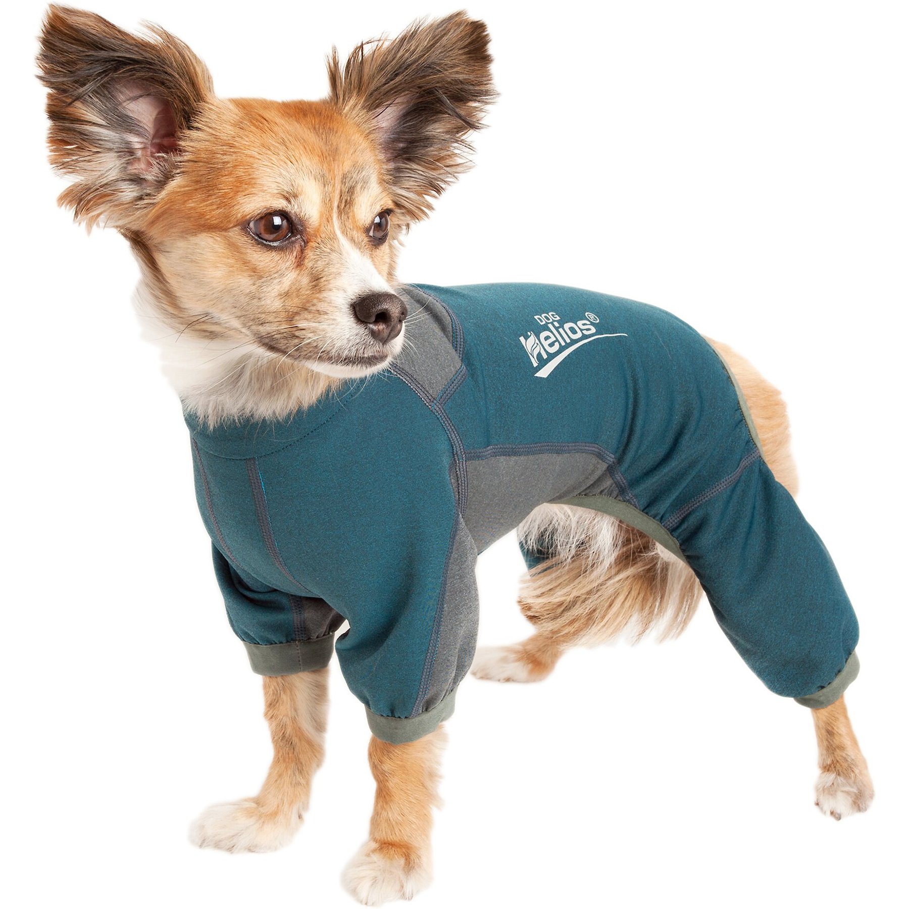 Dog Helios Rufflex Mediumweight 4-Way Stretch Performance Dog Warmup Tracksuit, Blue & Grey, X-Large